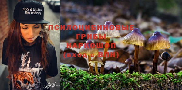 круглые Алзамай
